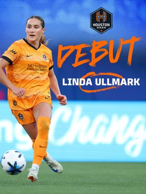 Image post by @houstondash on Instagram