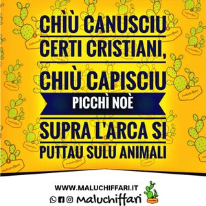Image post by @maluchiffari on Instagram