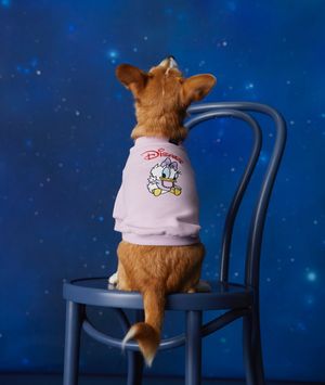 Image post by @disneypets on Instagram