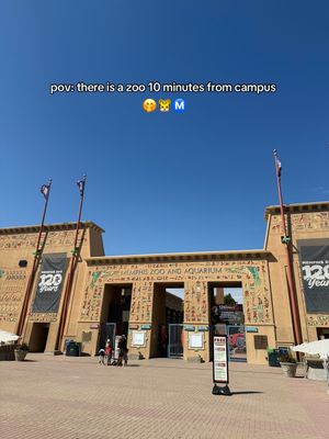 Video post by @uofmemphis on TikTok