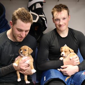 Image post by @nhl on Instagram