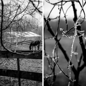 Image post by @the_ad_photog on Instagram