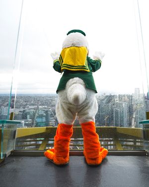 Image post by @goducks on Instagram