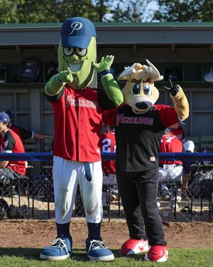 Image post by @picklesbaseball on Instagram
