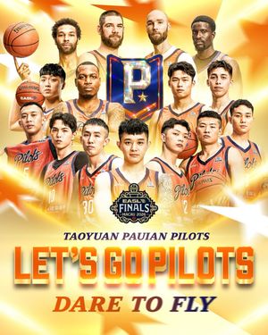 Image post by @taoyuan_pilots_official on Instagram