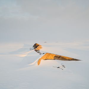 Image post by @white.desert.antarctica on Instagram