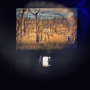 Image post by @director.fleming on Instagram
