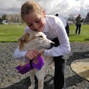 Image post by @whitmanpets on Instagram