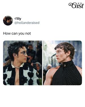 Image post by @thegistca on Instagram