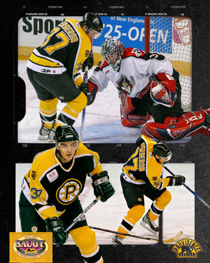 Image post by @ahlbruins on Instagram