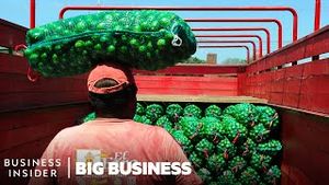 Video post by @businessinsider on YouTube