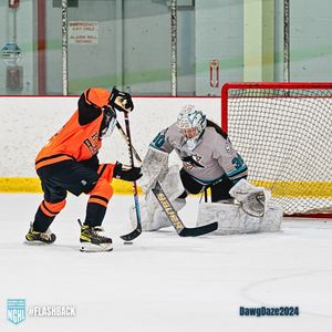 Image post by @nghlhockey on Instagram