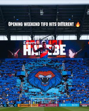 Video post by @mls on TikTok