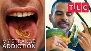 Video post by @tlc on YouTube