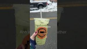 Video post by @bostonwithemily on YouTube