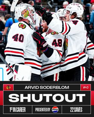 Image post by @nhl on Instagram