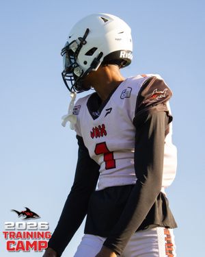 Image post by @jaxsharks on Instagram