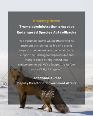 Image post by @centerforbiodiv on Instagram