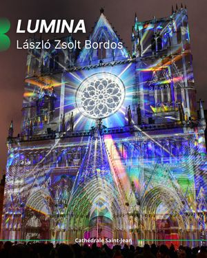 Image post by @fetedeslumieres on Instagram