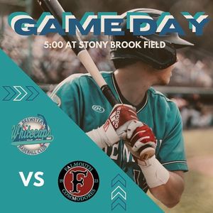 Image post by @brewsterwhitecaps on Instagram