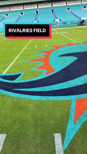 Video post by @miamidolphins on TikTok