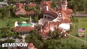 Video post by @msnbc on YouTube