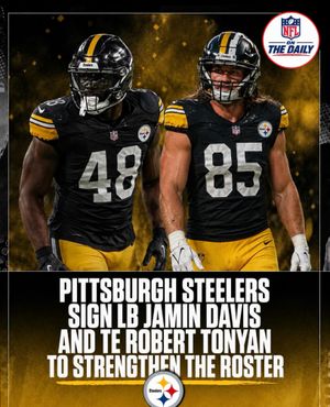 Image post by @nflonthedaily_ on Instagram