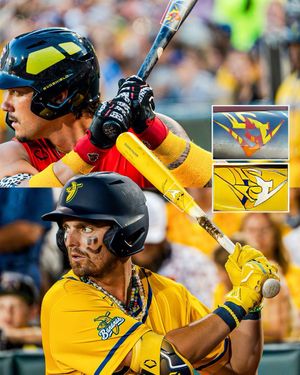 Image post by @thesavbananas on Instagram