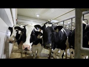 Video post by @iowastatealumni on YouTube