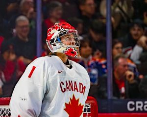 Image post by @lizzchild on Instagram