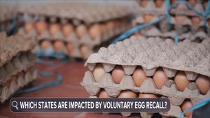 Video post by @abcnewslive on TikTok
