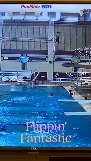 Video post by @lala_the_diver on Instagram