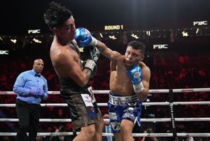 Image post by @ats_fight on Twitter