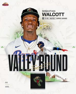 Image post by @mlbazfallleague on Instagram