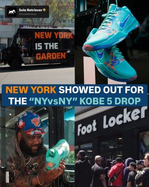 Image post by @soleretriever on Instagram
