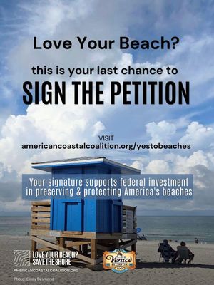 Image post by @cityofveniceflorida on Instagram