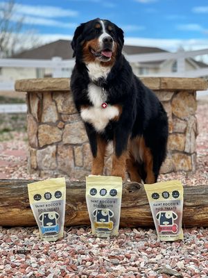 Image post by @saintroccostreats on Instagram