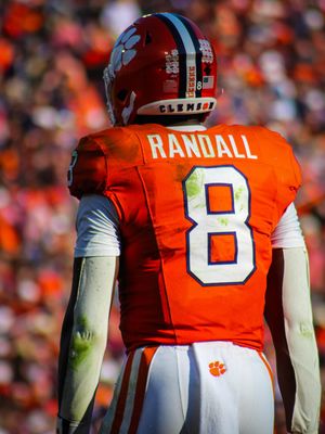 Image post by @cutigervision on Instagram