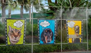 Image post by @UniversalORL on Twitter