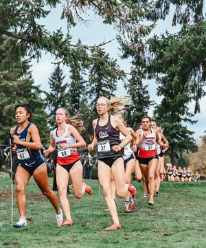 Image post by @montanagrizcrosscountry on Instagram