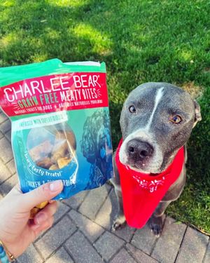 Image post by @charlee_bear_dogtreats on Instagram