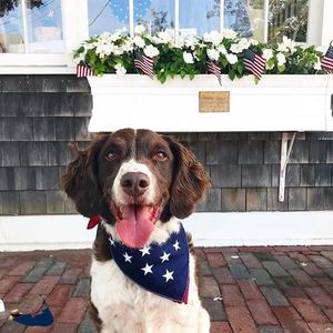 Image post by @NantucketStreetStyle on Facebook