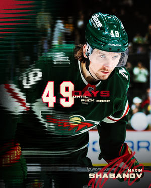 Image post by @minnesotawild on Instagram
