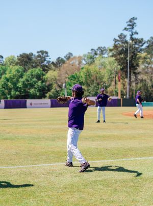 Image post by @sfa_baseball on Instagram