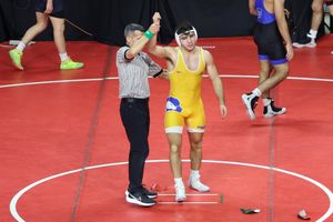 Image post by @hofstrawrest on Instagram