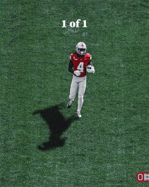 Image post by @ohiostatefb on Instagram