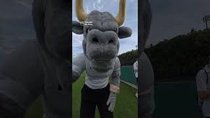 Video post by @lullygarc on YouTube