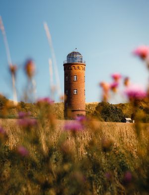 Image post by @lightroom on Instagram