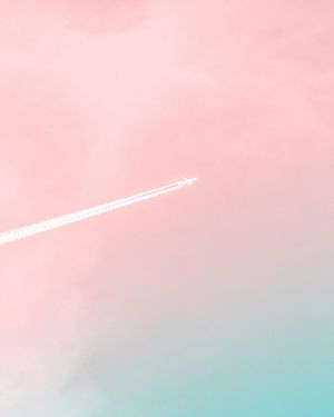 Image post by @rozatomalia on Instagram