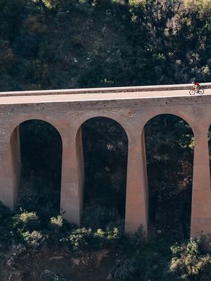 Image post by @scienceinsportusa on Instagram